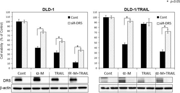 https://cdn.ncbi.nlm.nih.gov/pmc/blobs/b2c9/4694869/8d186c2bc9c1/oncotarget-06-25828-g004.jpg
