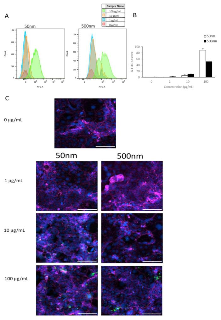 https://cdn.ncbi.nlm.nih.gov/pmc/blobs/b2d3/11858616/79797f83e54a/nanomaterials-15-00267-g002.jpg