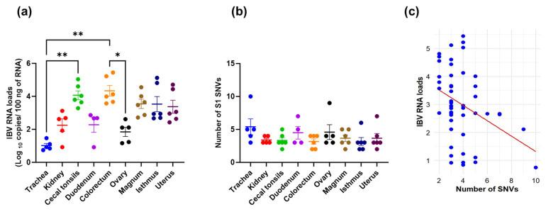 https://cdn.ncbi.nlm.nih.gov/pmc/blobs/b32c/12030972/62f0a8973438/viruses-17-00527-g001.jpg