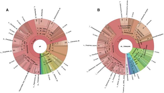 https://cdn.ncbi.nlm.nih.gov/pmc/blobs/b34c/7145632/bf3917fc9db9/gkz1035fig1.jpg
