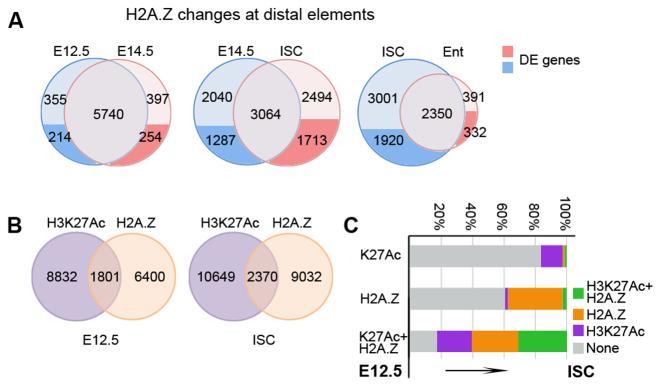 https://cdn.ncbi.nlm.nih.gov/pmc/blobs/b37d/5449638/08d72d049388/gkx167fig6.jpg