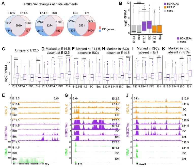 https://cdn.ncbi.nlm.nih.gov/pmc/blobs/b37d/5449638/3f687a9269d0/gkx167fig5.jpg