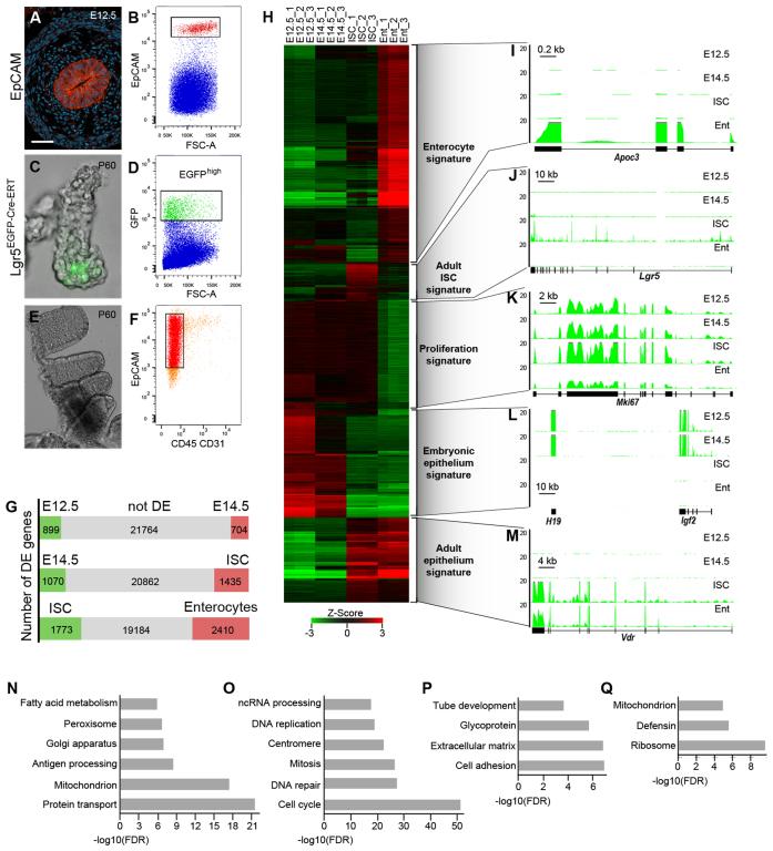 https://cdn.ncbi.nlm.nih.gov/pmc/blobs/b37d/5449638/75581f9820f7/gkx167fig1.jpg