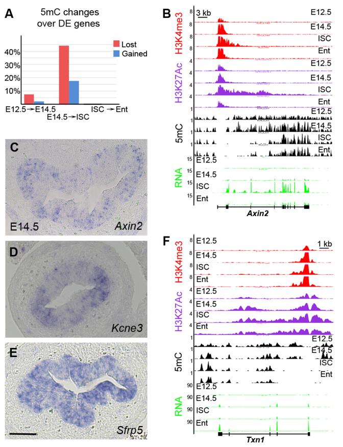 https://cdn.ncbi.nlm.nih.gov/pmc/blobs/b37d/5449638/846be34859a2/gkx167fig3.jpg
