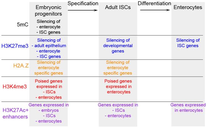 https://cdn.ncbi.nlm.nih.gov/pmc/blobs/b37d/5449638/8997dc582e9e/gkx167fig7.jpg