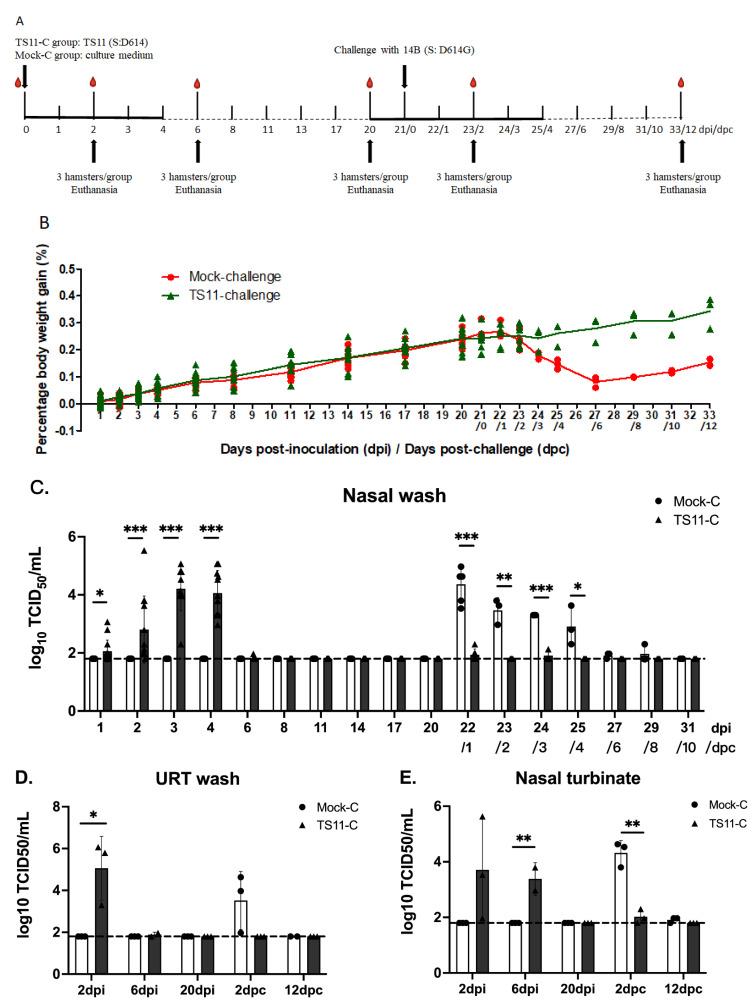 https://cdn.ncbi.nlm.nih.gov/pmc/blobs/b384/9867033/694c007fb9e6/viruses-15-00095-g005a.jpg