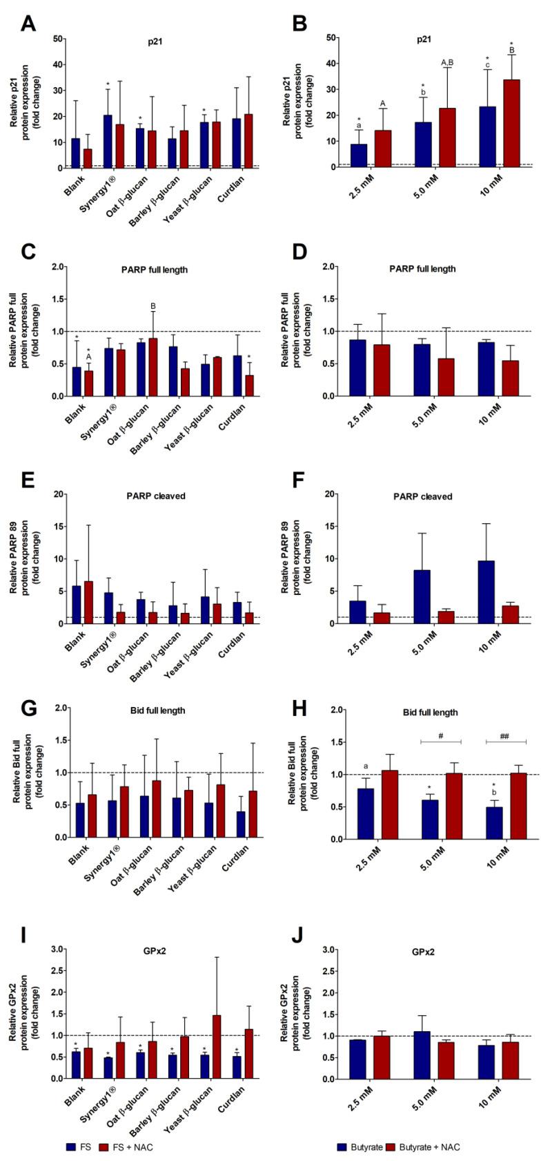 https://cdn.ncbi.nlm.nih.gov/pmc/blobs/b397/9857069/faa27f03ae21/cancers-15-00440-g005.jpg