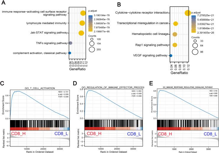 https://cdn.ncbi.nlm.nih.gov/pmc/blobs/b3ac/12225630/686ba86df18a/peerj-13-19550-g002.jpg