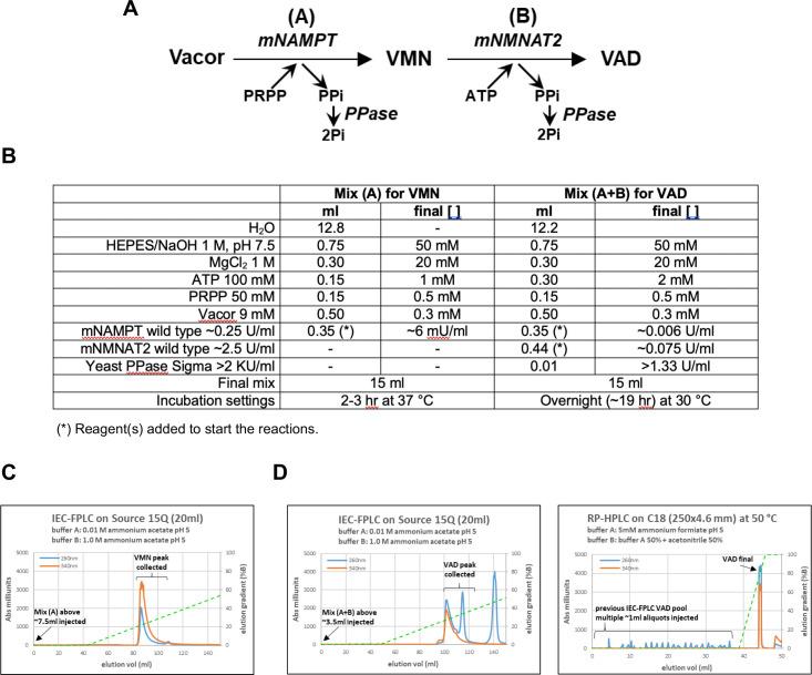 https://cdn.ncbi.nlm.nih.gov/pmc/blobs/b3ad/8758145/55c97f8aa48e/elife-72823-fig5-figsupp2.jpg