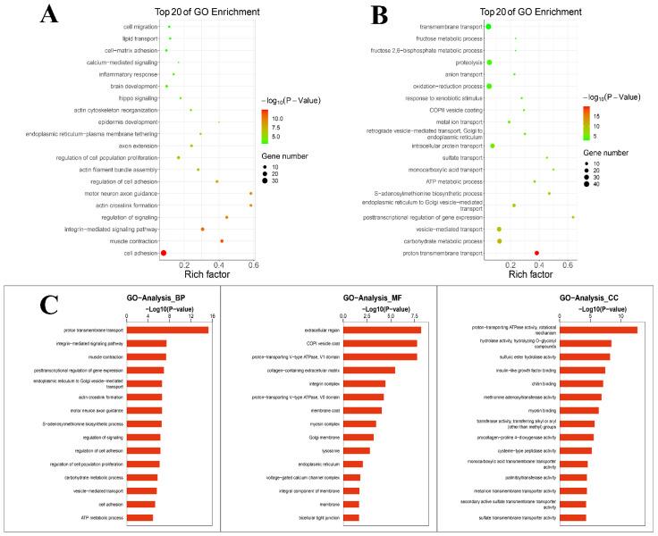 https://cdn.ncbi.nlm.nih.gov/pmc/blobs/b3b5/9699432/9a4ddf88ca34/metabolites-12-01009-g002.jpg