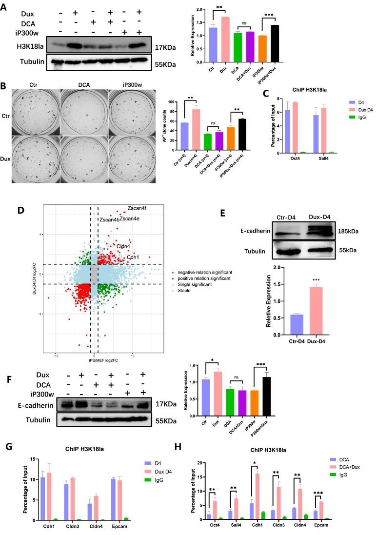 https://cdn.ncbi.nlm.nih.gov/pmc/blobs/b3c2/11162783/68ba28375d2c/gkae183fig4.jpg