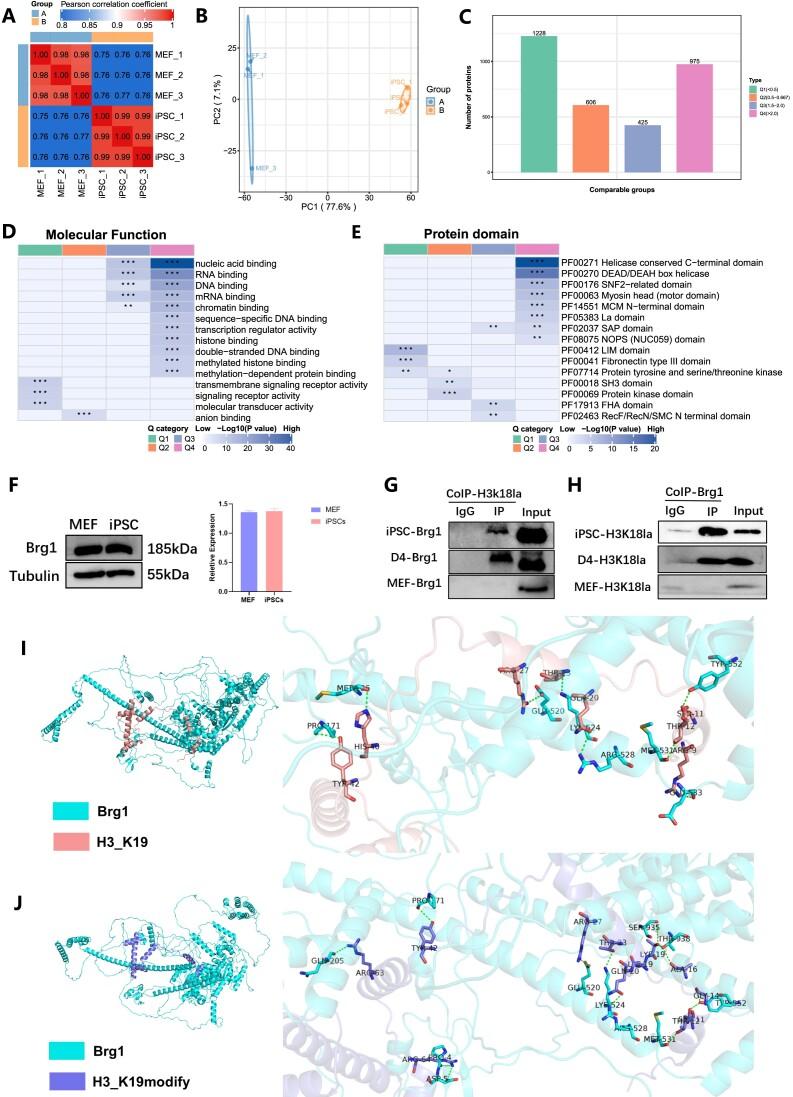 https://cdn.ncbi.nlm.nih.gov/pmc/blobs/b3c2/11162783/6d4f76f66a3c/gkae183fig5.jpg