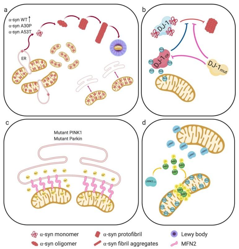 https://cdn.ncbi.nlm.nih.gov/pmc/blobs/b3d9/7016713/3059f93056b8/cells-09-00233-g003.jpg