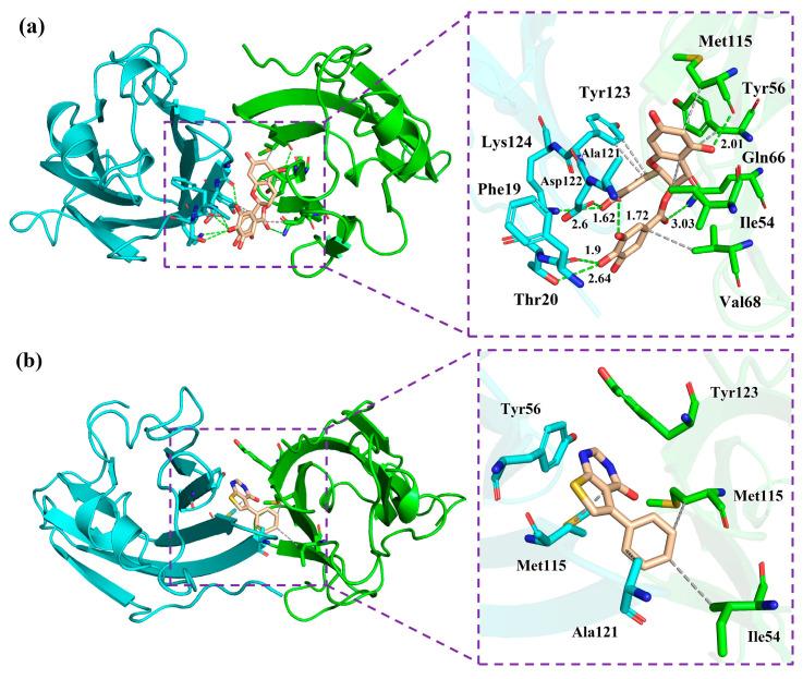 https://cdn.ncbi.nlm.nih.gov/pmc/blobs/b3eb/10708077/88641c8fbeb7/molecules-28-07881-g006a.jpg