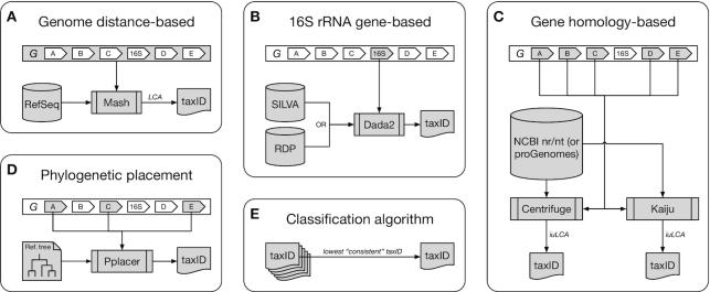https://cdn.ncbi.nlm.nih.gov/pmc/blobs/b3f9/6946028/e7a84c33b573/giz154fig1.jpg