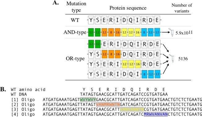 https://cdn.ncbi.nlm.nih.gov/pmc/blobs/b401/7007284/33f7935d2845/sb9b00063_0003.jpg