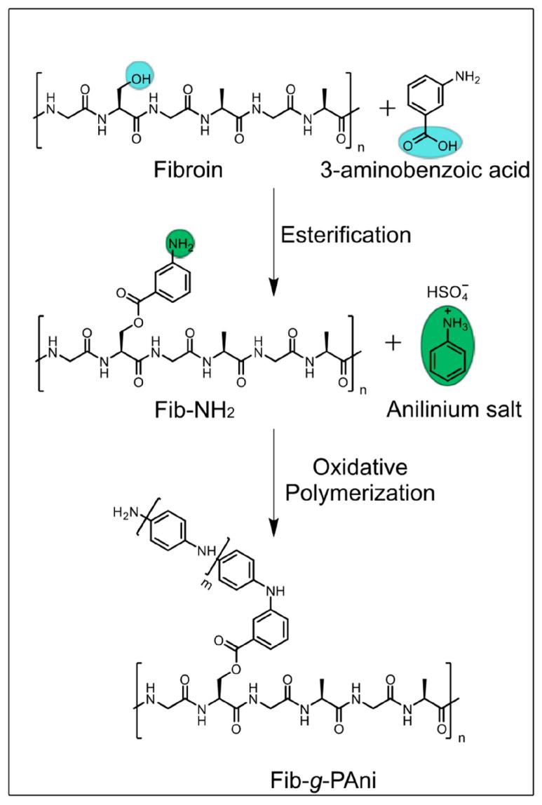 https://cdn.ncbi.nlm.nih.gov/pmc/blobs/b407/11767523/4e0de53204c5/molecules-30-00328-g004.jpg