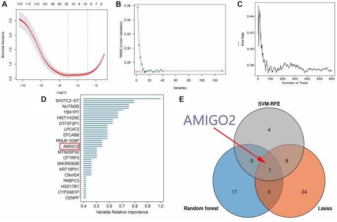 https://cdn.ncbi.nlm.nih.gov/pmc/blobs/b410/10866418/e89287d43d38/aging-16-205380-g003.jpg