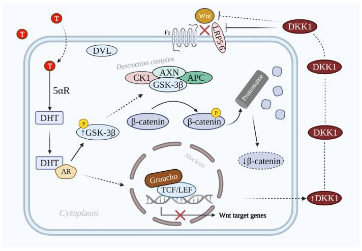 https://cdn.ncbi.nlm.nih.gov/pmc/blobs/b411/8616136/2ec80a550a50/cells-10-02957-g003.jpg