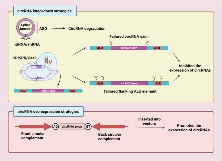 https://cdn.ncbi.nlm.nih.gov/pmc/blobs/b41d/9171998/ccde12931c8d/40364_2022_388_Fig4_HTML.jpg