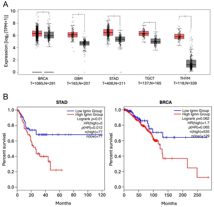 https://cdn.ncbi.nlm.nih.gov/pmc/blobs/b42e/11763575/07c06a4921ee/cells-14-00068-g007.jpg