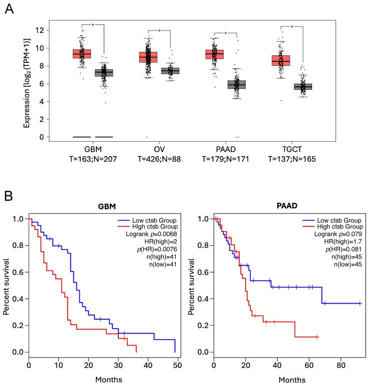 https://cdn.ncbi.nlm.nih.gov/pmc/blobs/b42e/11763575/1cba37657d97/cells-14-00068-g003.jpg