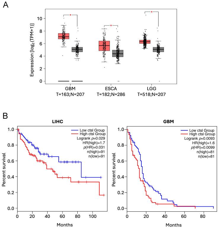 https://cdn.ncbi.nlm.nih.gov/pmc/blobs/b42e/11763575/fcae7bd8d874/cells-14-00068-g005.jpg