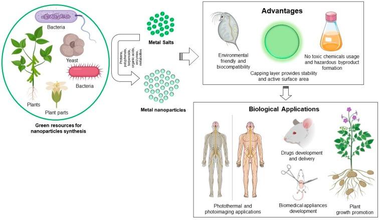 https://cdn.ncbi.nlm.nih.gov/pmc/blobs/b443/6315689/fdb1eb0ce353/nanomaterials-08-01009-g001.jpg