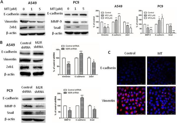 https://cdn.ncbi.nlm.nih.gov/pmc/blobs/b447/4745730/102a08a85cb1/oncotarget-06-29335-g003.jpg