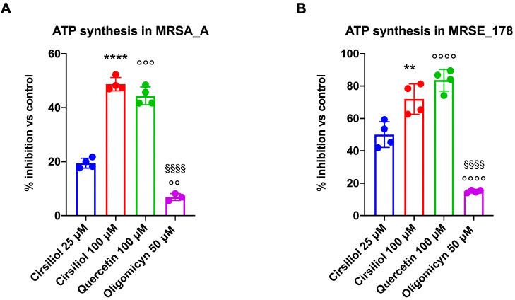 https://cdn.ncbi.nlm.nih.gov/pmc/blobs/b452/10488605/380502a2d8c7/molecules-28-06183-g002.jpg