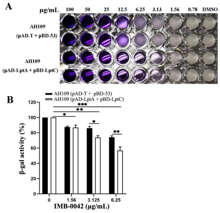 https://cdn.ncbi.nlm.nih.gov/pmc/blobs/b46a/9598311/645365e6a293/antibiotics-11-01385-g003.jpg