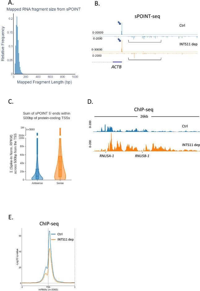 https://cdn.ncbi.nlm.nih.gov/pmc/blobs/b46b/11230626/77502dda6f47/elife-92764-fig3-figsupp1.jpg