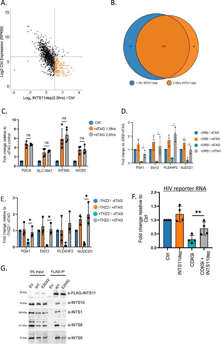 https://cdn.ncbi.nlm.nih.gov/pmc/blobs/b46b/11230626/825e1769a5f6/elife-92764-fig4-figsupp1.jpg