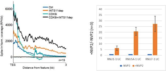 https://cdn.ncbi.nlm.nih.gov/pmc/blobs/b46b/11230626/b735b5f521a1/elife-92764-sa4-fig1.jpg
