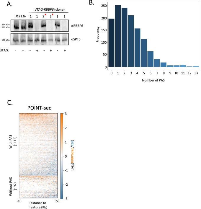 https://cdn.ncbi.nlm.nih.gov/pmc/blobs/b46b/11230626/bc50892c9c44/elife-92764-fig1-figsupp1.jpg