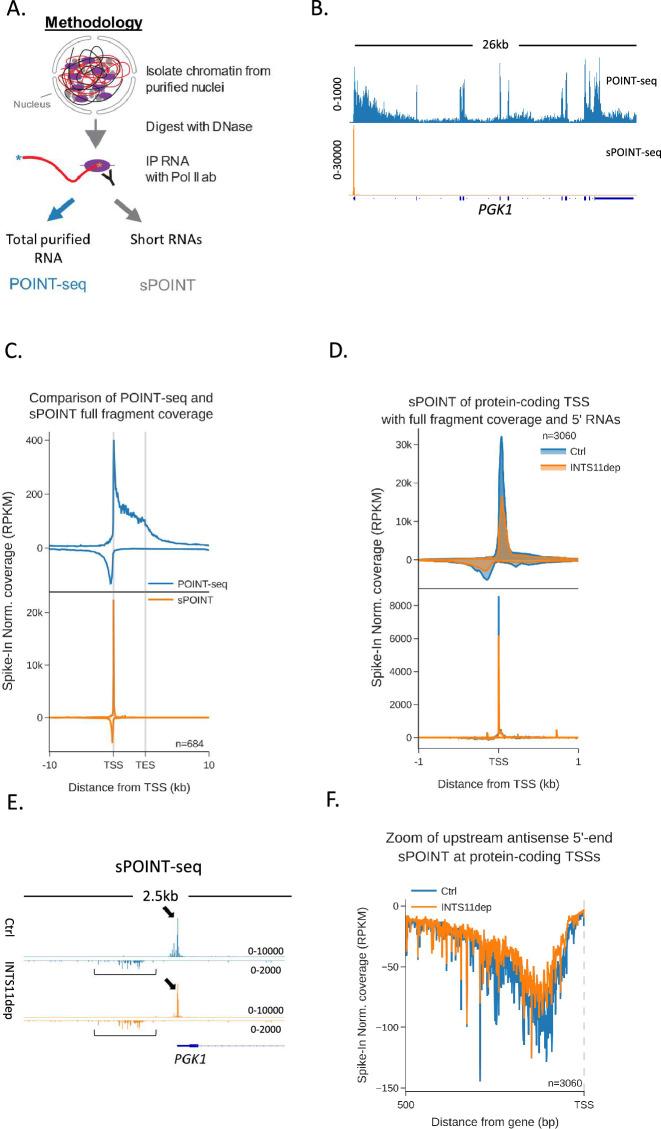 https://cdn.ncbi.nlm.nih.gov/pmc/blobs/b46b/11230626/ec7f7d050032/elife-92764-fig3.jpg