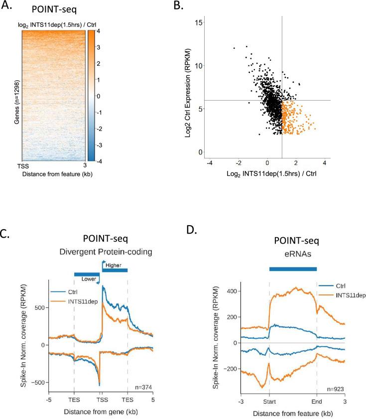 https://cdn.ncbi.nlm.nih.gov/pmc/blobs/b46b/11230626/f394203c38a1/elife-92764-fig2-figsupp1.jpg