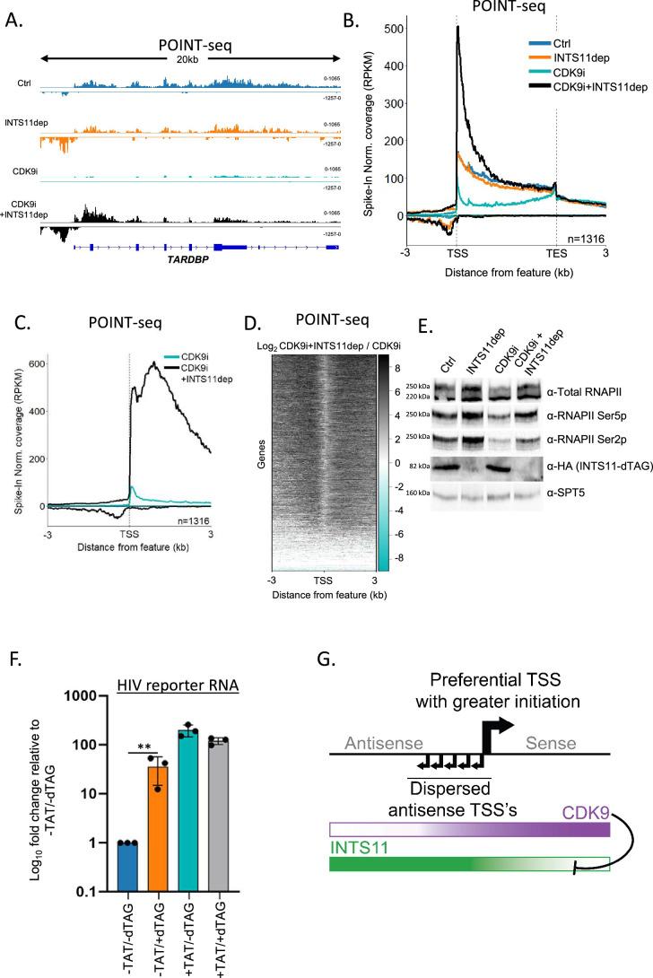 https://cdn.ncbi.nlm.nih.gov/pmc/blobs/b46b/11230626/f8208a007ce6/elife-92764-fig4.jpg
