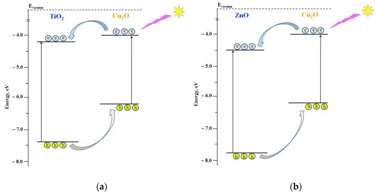 https://cdn.ncbi.nlm.nih.gov/pmc/blobs/b487/8226581/e9888b2e70d9/nanomaterials-11-01526-g005.jpg