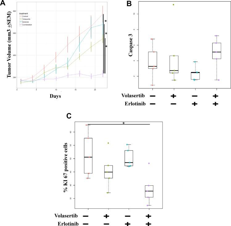 https://cdn.ncbi.nlm.nih.gov/pmc/blobs/b49a/5216995/374fa3d76c7a/oncotarget-07-47998-g006.jpg