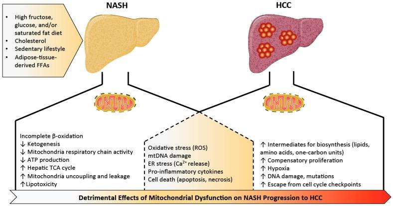 https://cdn.ncbi.nlm.nih.gov/pmc/blobs/b4a4/6836234/1ea6984dba02/metabolites-09-00233-g001.jpg
