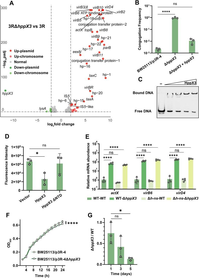https://cdn.ncbi.nlm.nih.gov/pmc/blobs/b4b4/11915502/2fced9cf2f16/gkaf182fig2.jpg