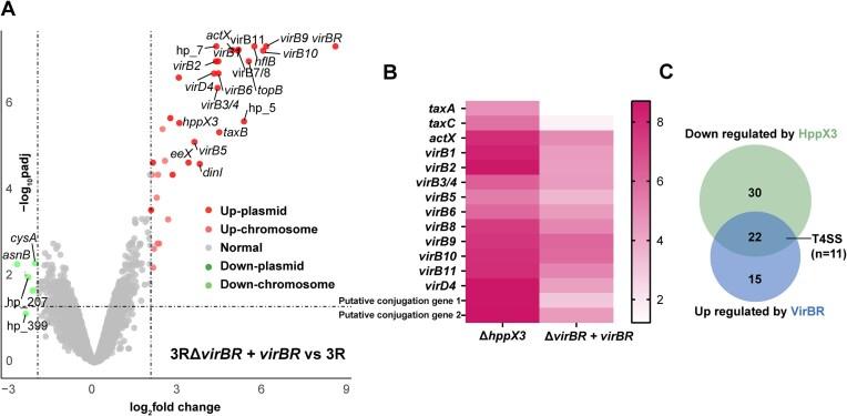 https://cdn.ncbi.nlm.nih.gov/pmc/blobs/b4b4/11915502/ae73374aa9ce/gkaf182fig3.jpg