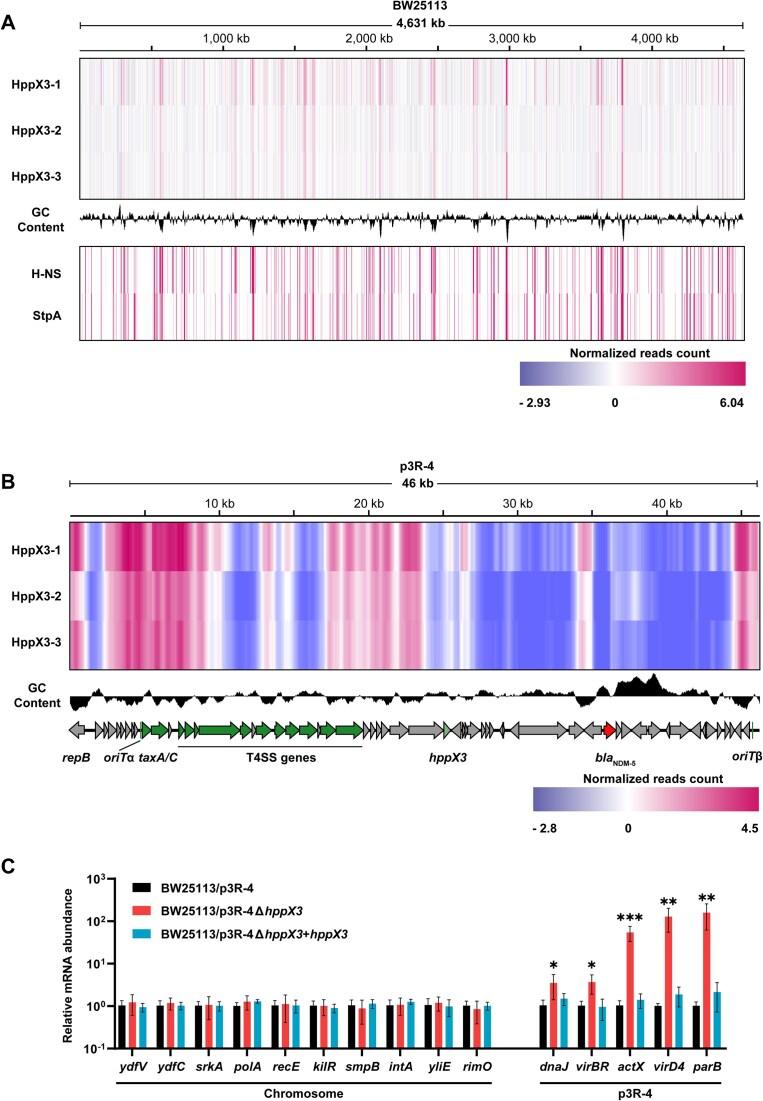 https://cdn.ncbi.nlm.nih.gov/pmc/blobs/b4b4/11915502/c43728cc2d04/gkaf182fig1.jpg