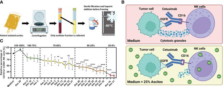 https://cdn.ncbi.nlm.nih.gov/pmc/blobs/b4c8/11026578/bb6bb2f24178/fimmu-15-1360615-g001.jpg