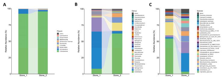 https://cdn.ncbi.nlm.nih.gov/pmc/blobs/b4d0/10534321/e269a403fea3/microorganisms-11-02276-g002.jpg