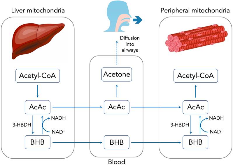 https://cdn.ncbi.nlm.nih.gov/pmc/blobs/b511/7520093/bfecb11d2189/peerj-08-9969-g001.jpg