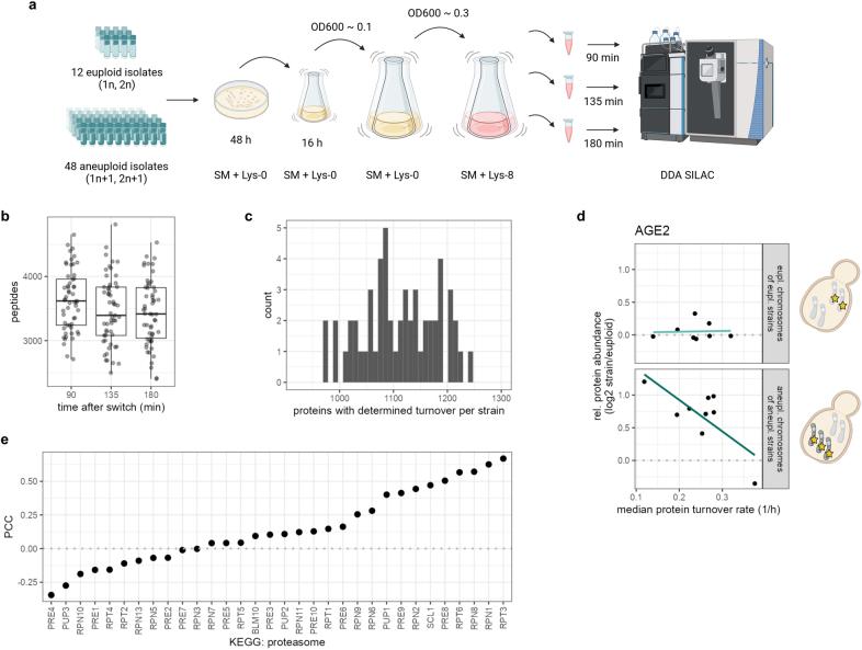 https://cdn.ncbi.nlm.nih.gov/pmc/blobs/b512/11153158/6c1120602662/41586_2024_7442_Fig13_ESM.jpg