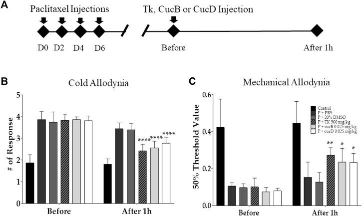 https://cdn.ncbi.nlm.nih.gov/pmc/blobs/b51b/9846532/9eb6473b8a75/fphar-13-1055264-g002.jpg