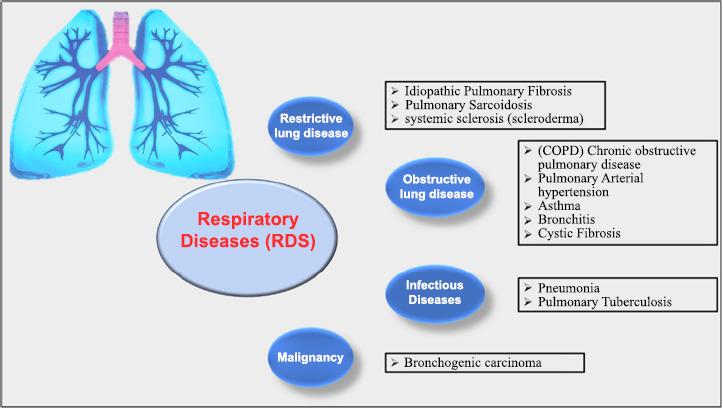 https://cdn.ncbi.nlm.nih.gov/pmc/blobs/b54e/12046236/4c95c10689a0/TORMJ-19-E18743064341009_F1.jpg